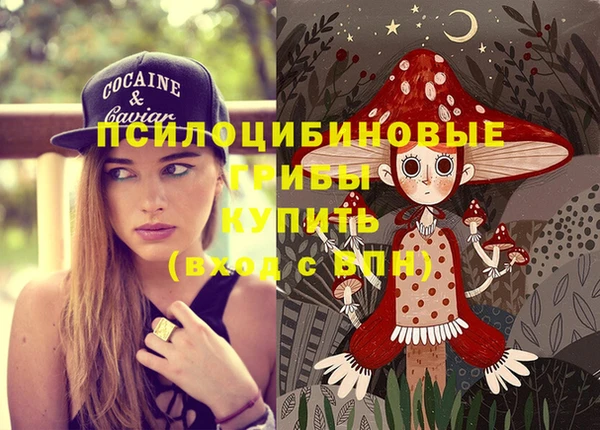 ГАЛЛЮЦИНОГЕННЫЕ ГРИБЫ Алексин