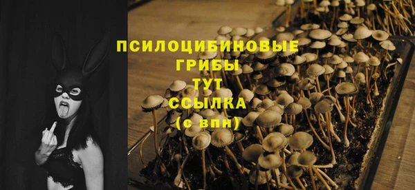 ГАЛЛЮЦИНОГЕННЫЕ ГРИБЫ Алексин
