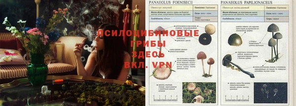 ALPHA PVP Алексеевка