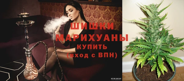 стафф Алзамай