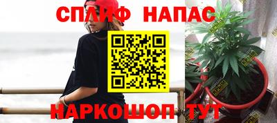 гидропоника Волжск