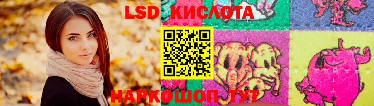 МЕФ Лесосибирск