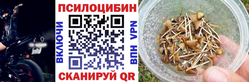 Галлюциногенные грибы прущие грибы darknet состав Лесосибирск купить закладку